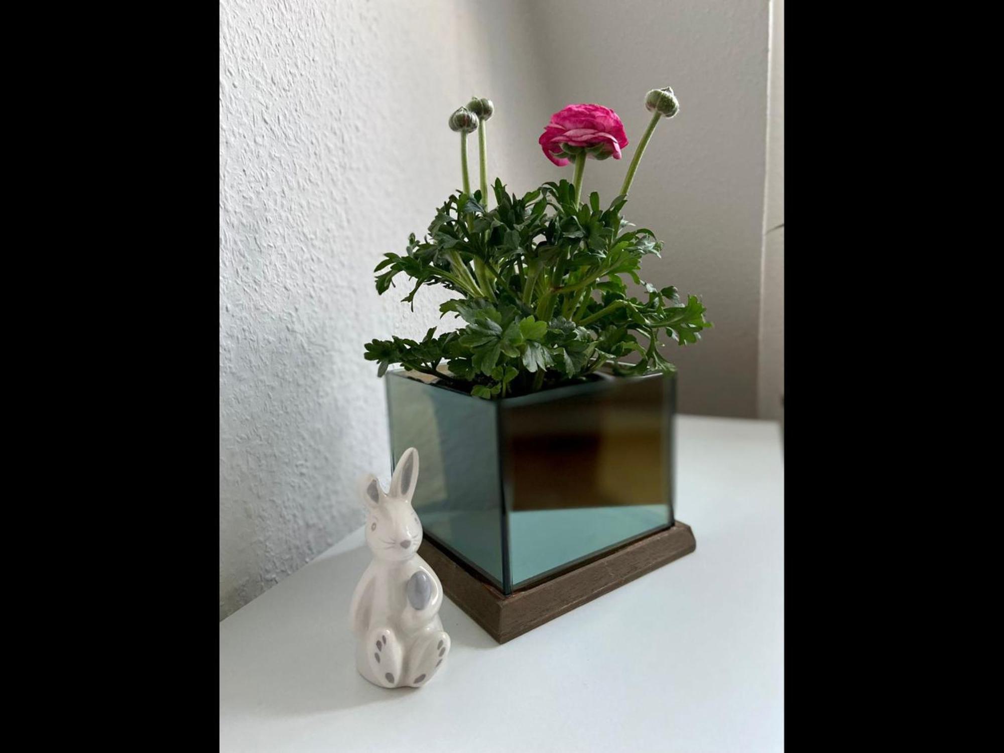 Neu Ferienwohnung Kalyves Extérieur photo